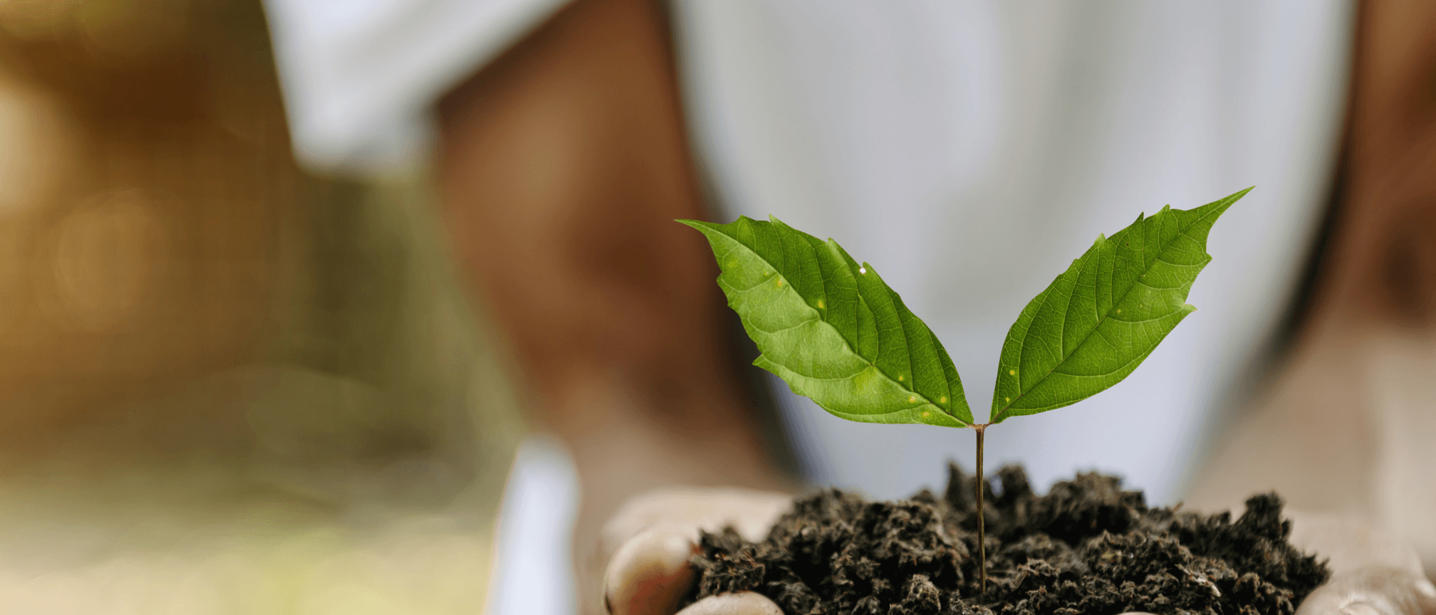 Doktor Health Hero Image Partnerprogramm