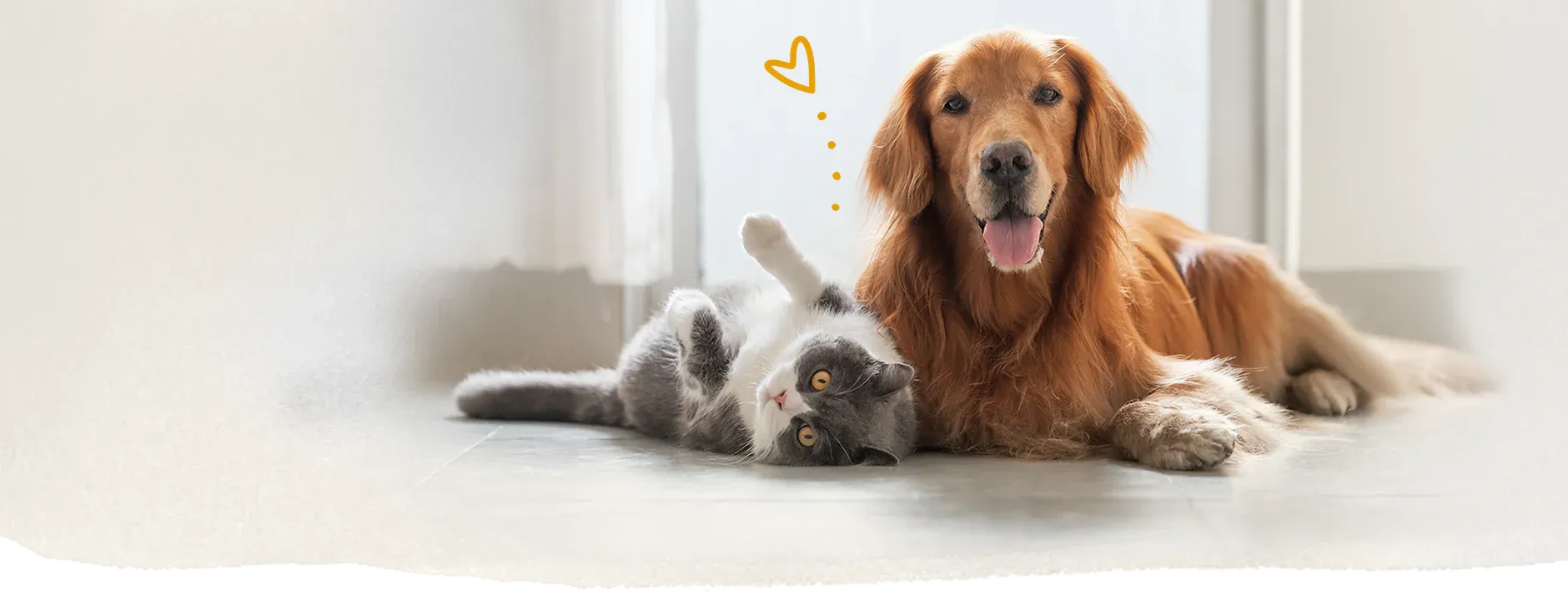 Milo und Mia Partnerprogramm