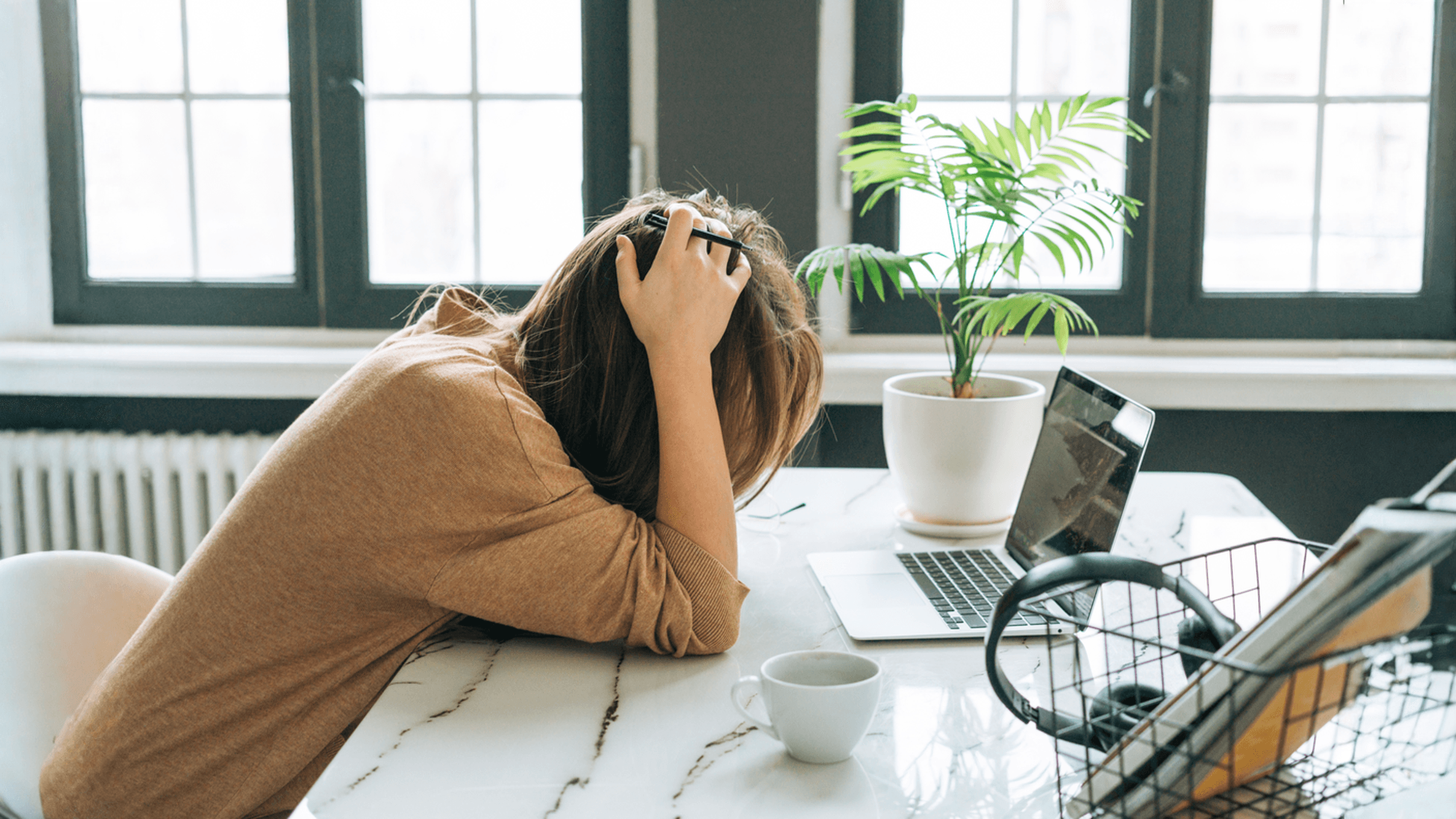 influencer newsletter creator